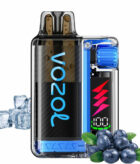 Vοzol Vista Plug 20mg 2ml+10ml Starter Kit Blueberry Ice Big Puff